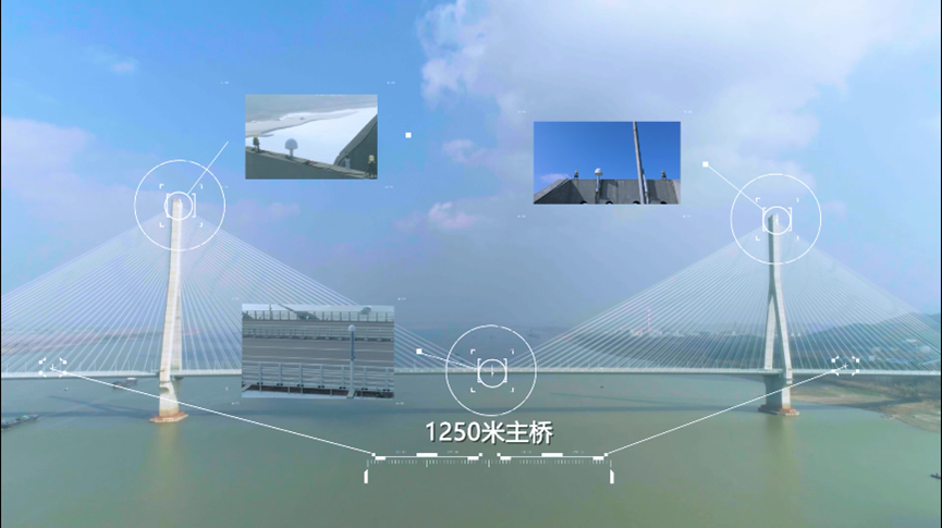 乐鱼在线登录平台